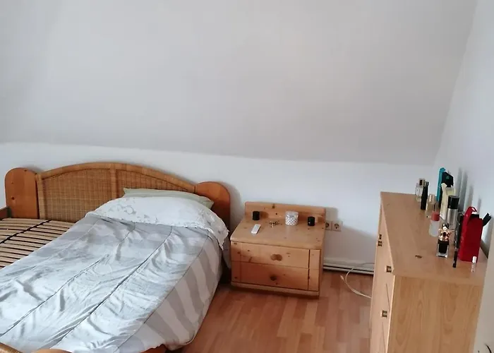 Comfortable Apartment